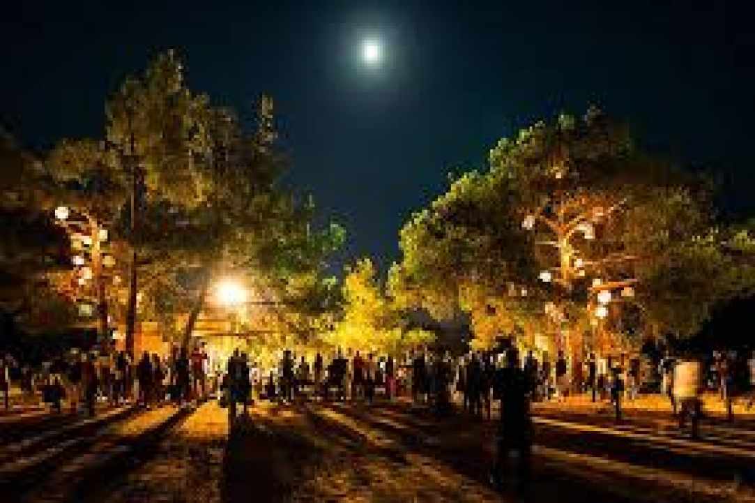 The Afro Banana Republic Festival!