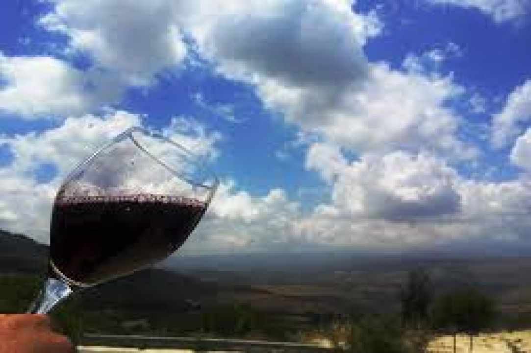 Let's go to the 2nd Wine Festival and Traditional Paphos Products!!