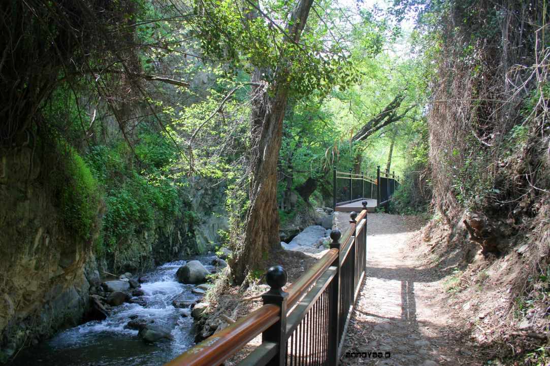 Kakopetria Village