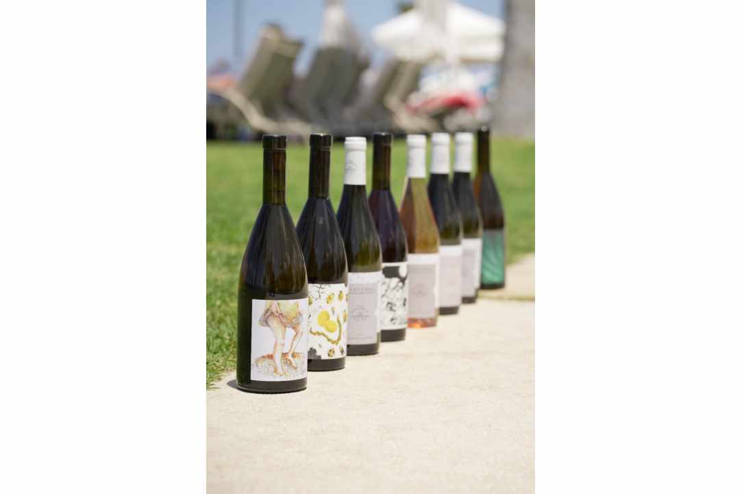 Every wine, a memory - every sip, a feeling