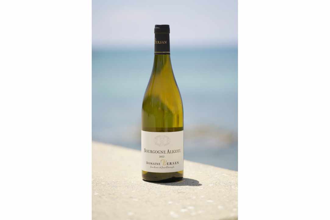 Every wine, a memory - every sip, a feeling