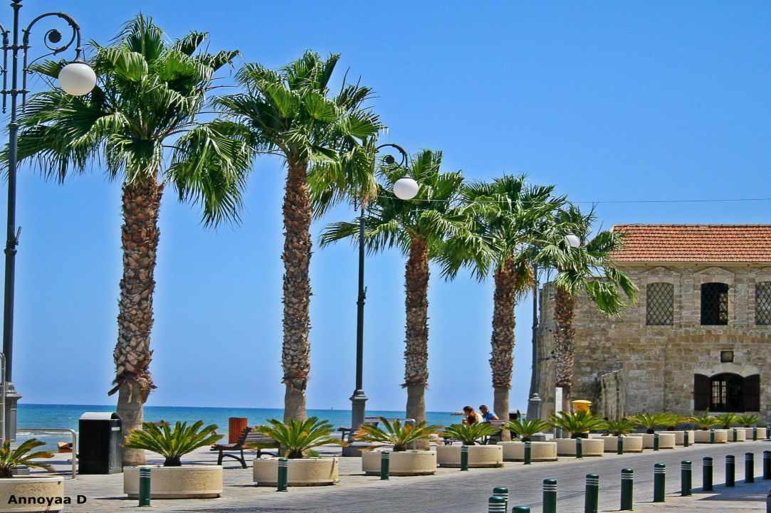 Larnaca Castle