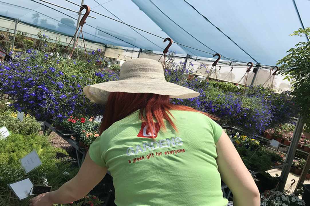 Interview with the owner of Q Gardens in Zygi