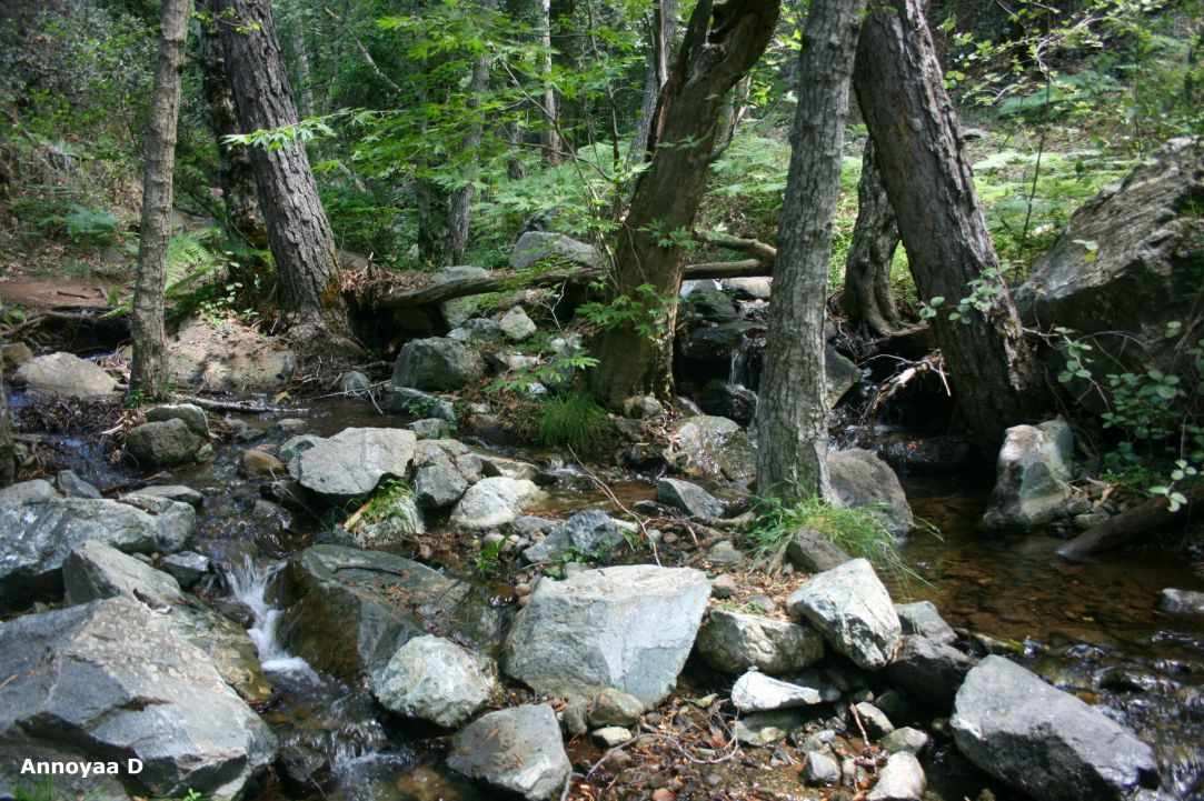 Caledonia (Kalidonia) Waterfalls, Platres