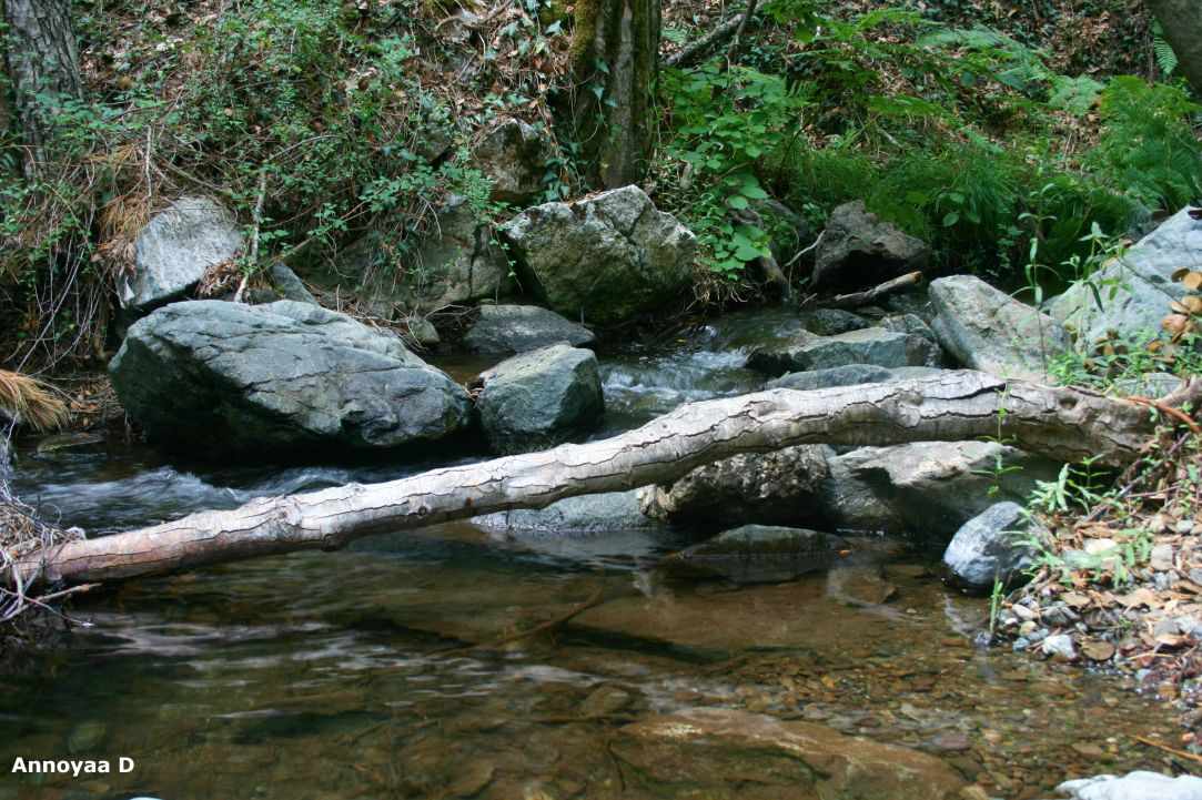 Caledonia (Kalidonia) Waterfalls, Platres