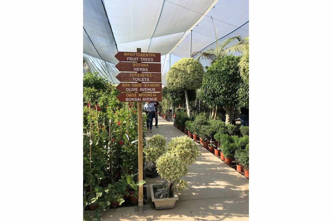 Interview with the owner of Q Gardens in Zygi