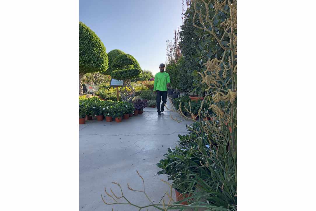 Interview with the owner of Q Gardens in Zygi