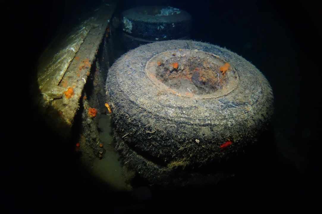 Night Dive