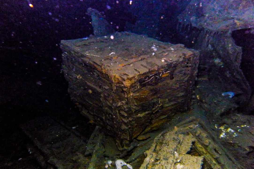 Fun Dive