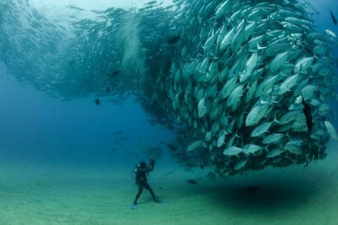How dangerous scuba diving Is?