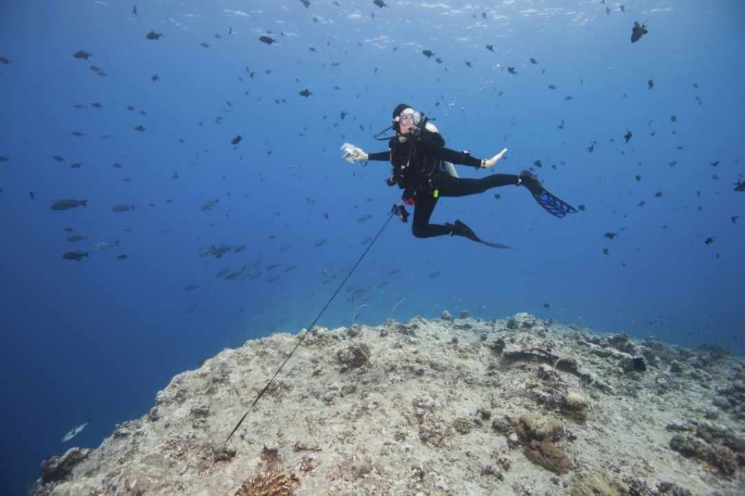 How to Deal With Strong Currents
