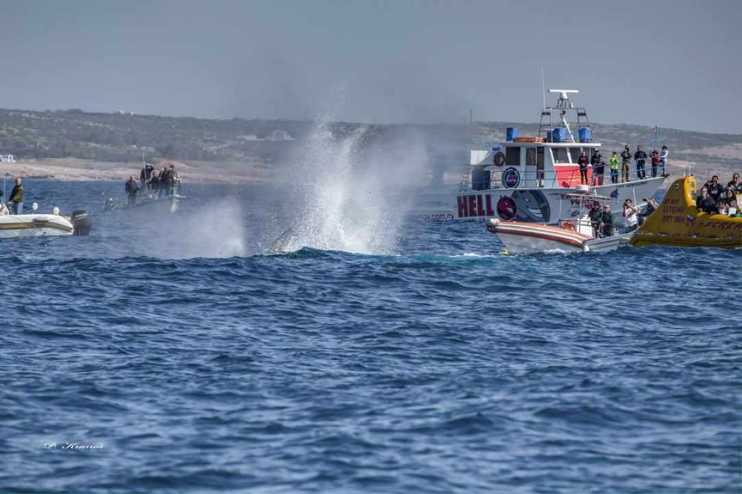 Kerynia Wreck Dive