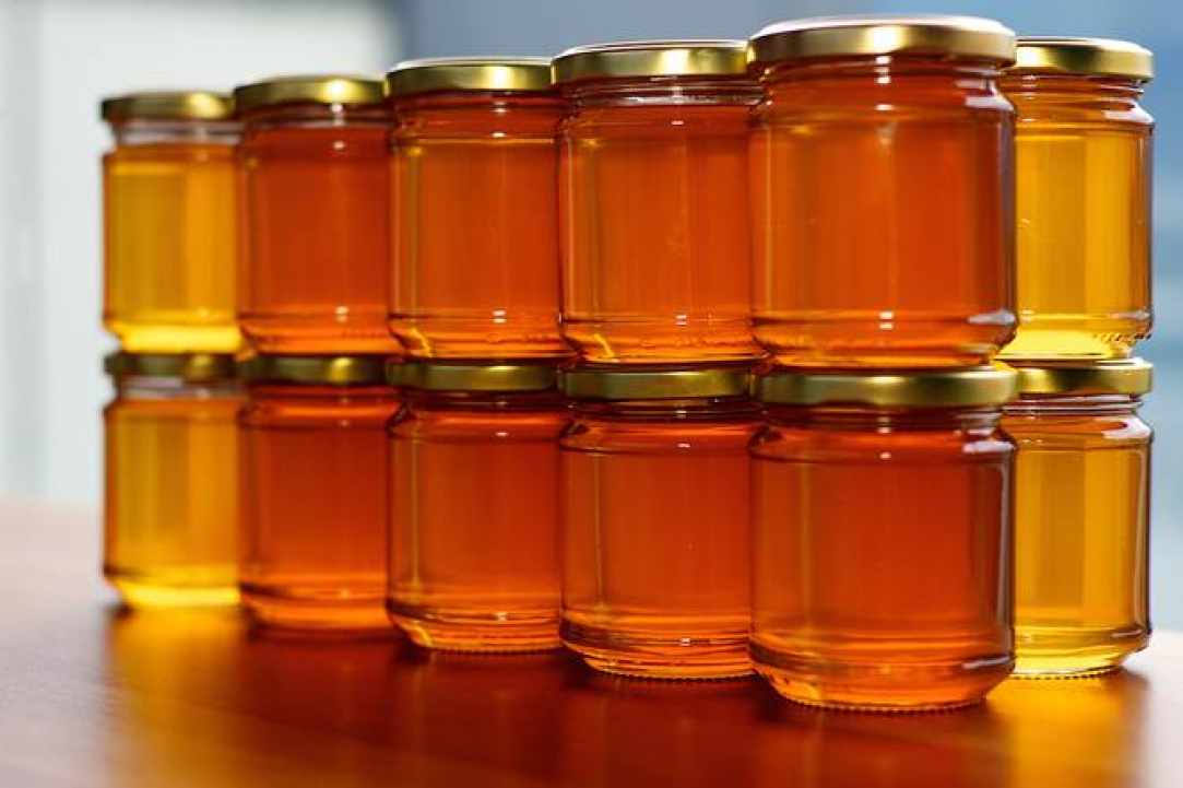 1st Pancyprian Honey & Beekeeping Festival gallery image 5
