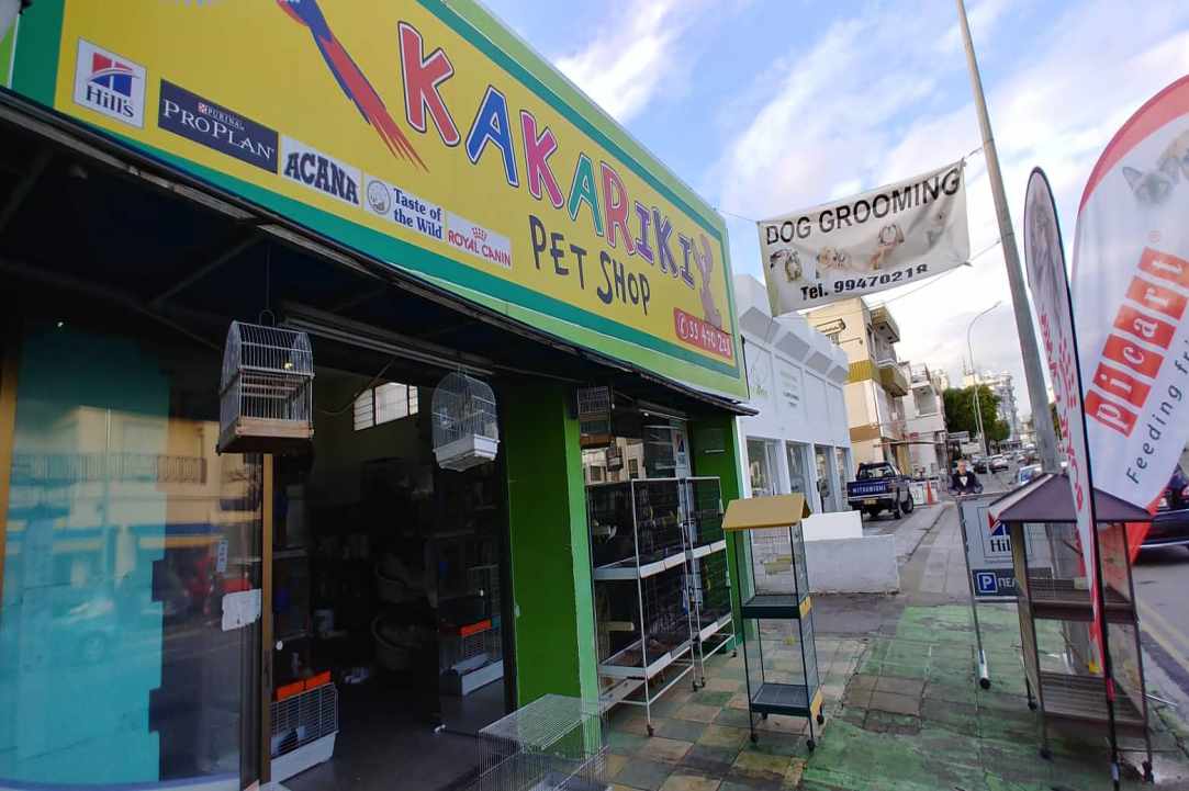 Kakariki Pet Shop in Limassol gallery image 5