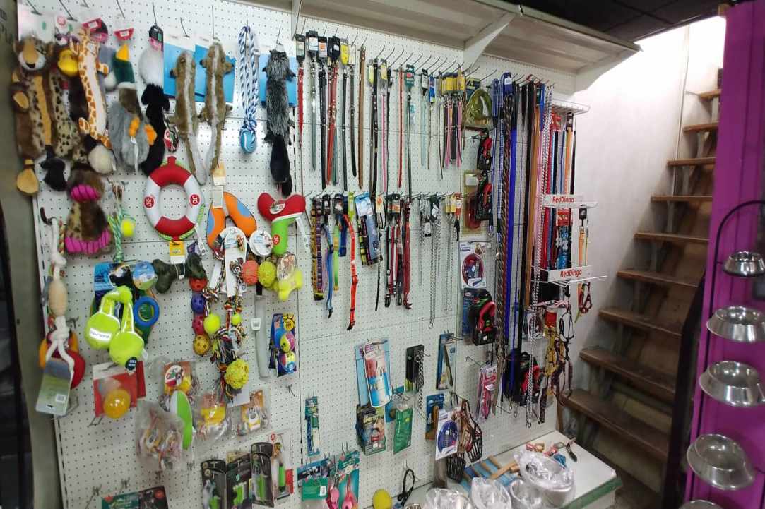Kakariki Pet Shop in Limassol