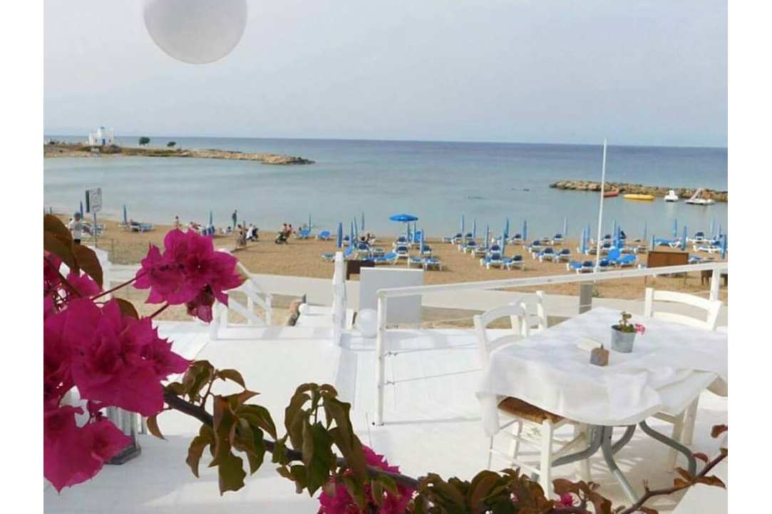Eating fresh fish right on the beach feels like paradise!