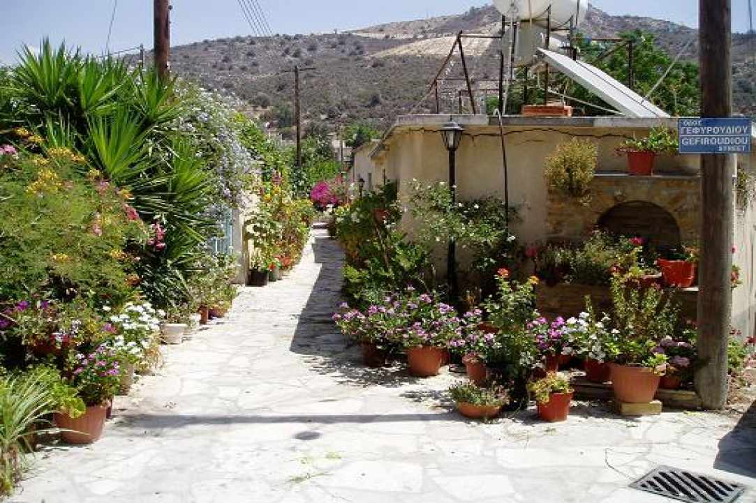 Καλαβασός