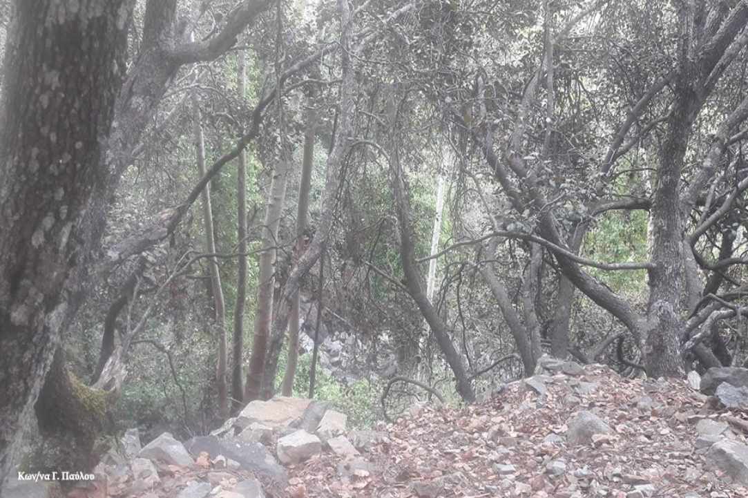 Καταρράκτης Καληδόνια