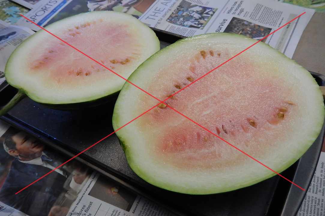 Watermelon – our favorite summer fruit