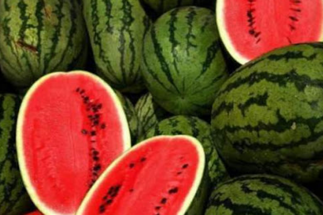 Watermelon – our favorite summer fruit