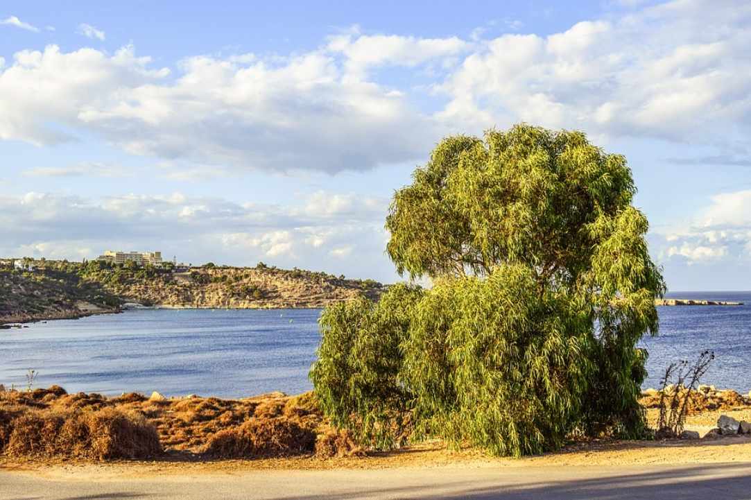 Εξερεύνηση του Ακρωτηρίου Κάβο Γκρέκο
