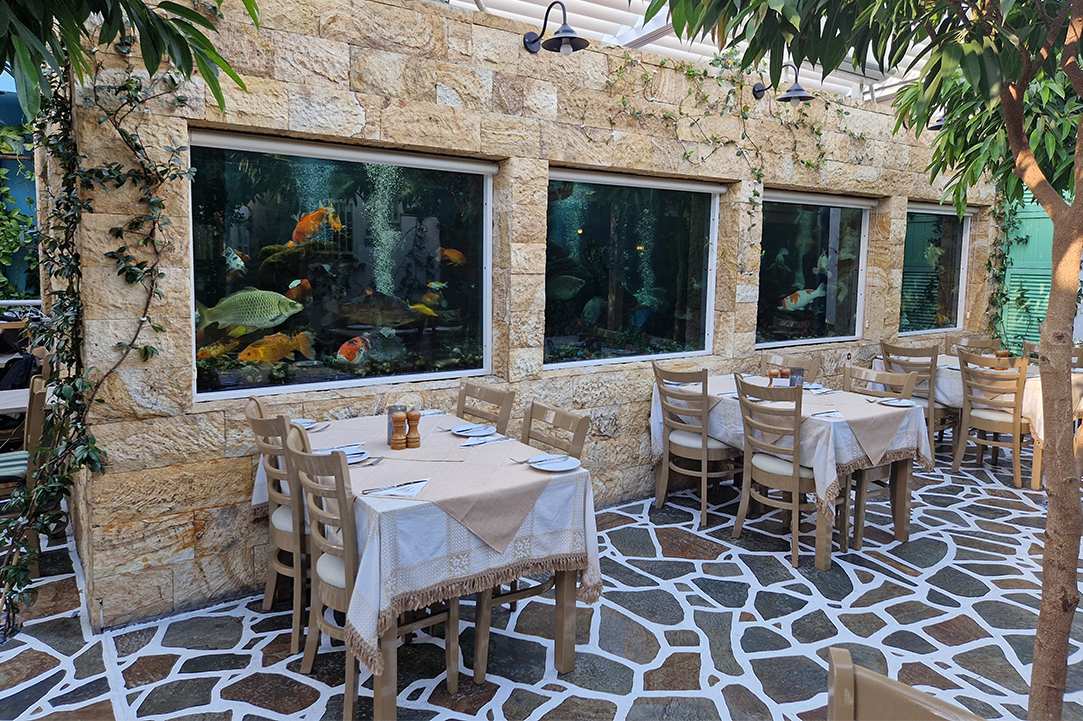 Cypriot cuisine and fresh fish in the most colourful courtyard gallery image 4