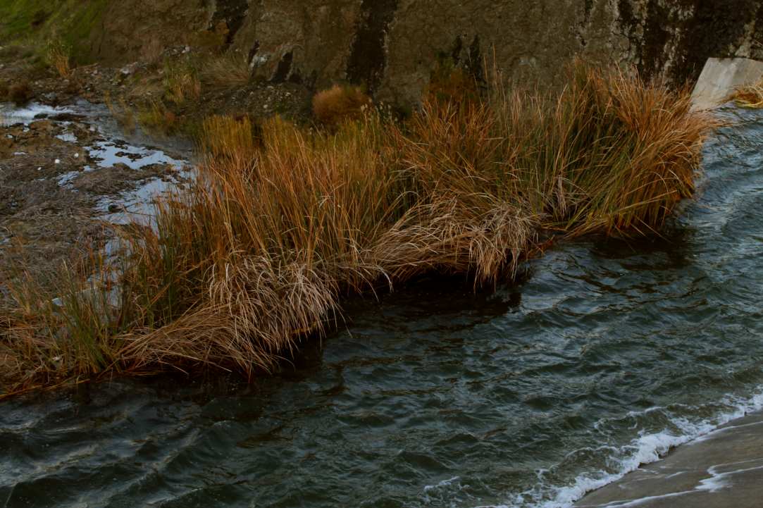An Oasis In Klirou