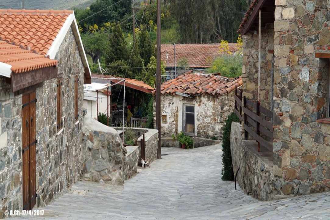 Κλωνάρι Λεμεσού