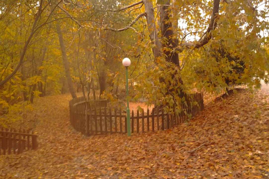 Το Κοινοτικό Πάρκο της Κυπερούντας 