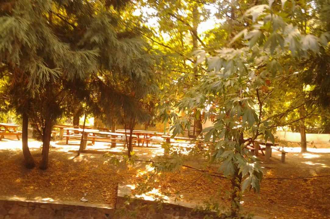 Το Κοινοτικό Πάρκο της Κυπερούντας 