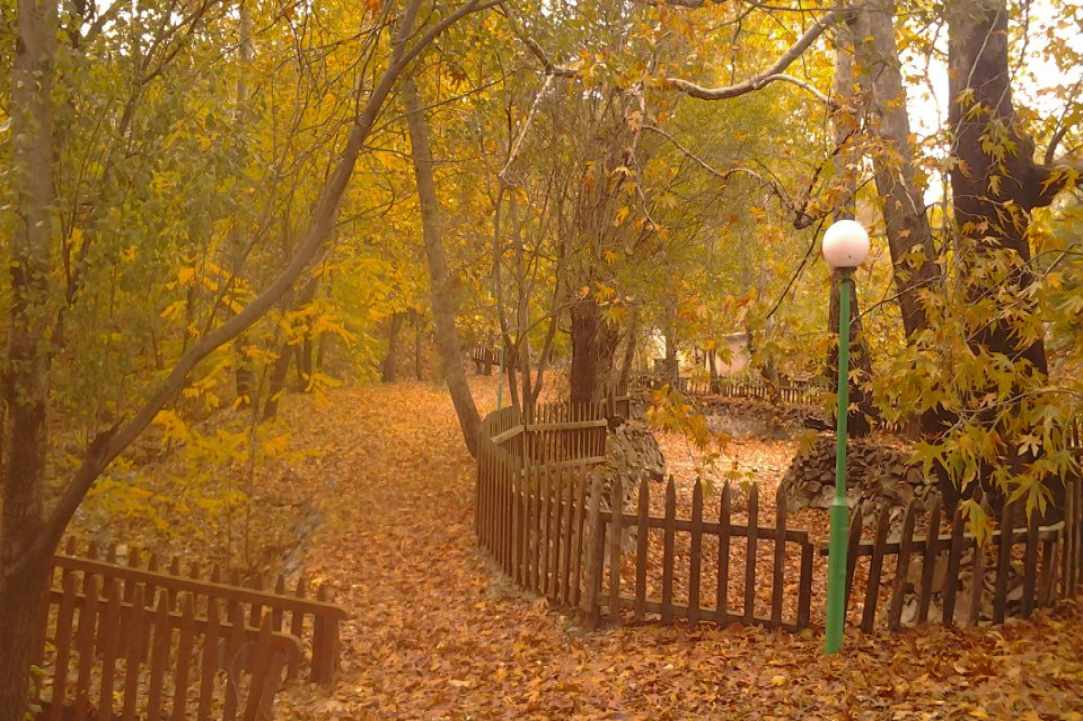 Το Κοινοτικό Πάρκο της Κυπερούντας 