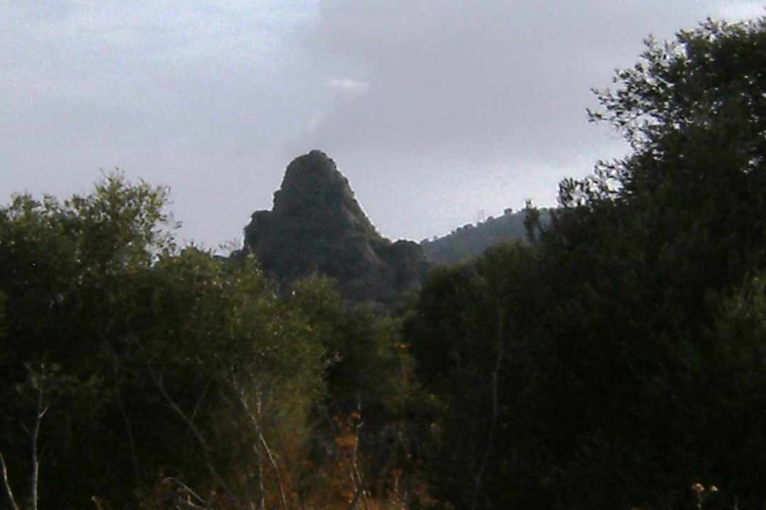 Ο «Κούρβελλος» στα Λεύκαρα