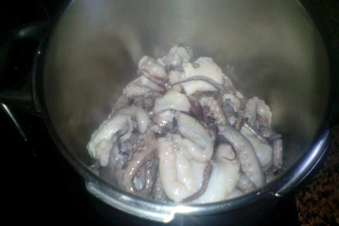 Oktapus in red wine – “Ktapodaki krasato kathisto”