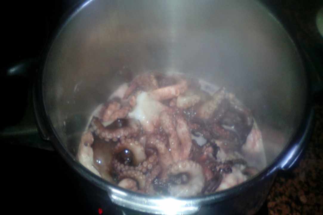 Oktapus in red wine – “Ktapodaki krasato kathisto”