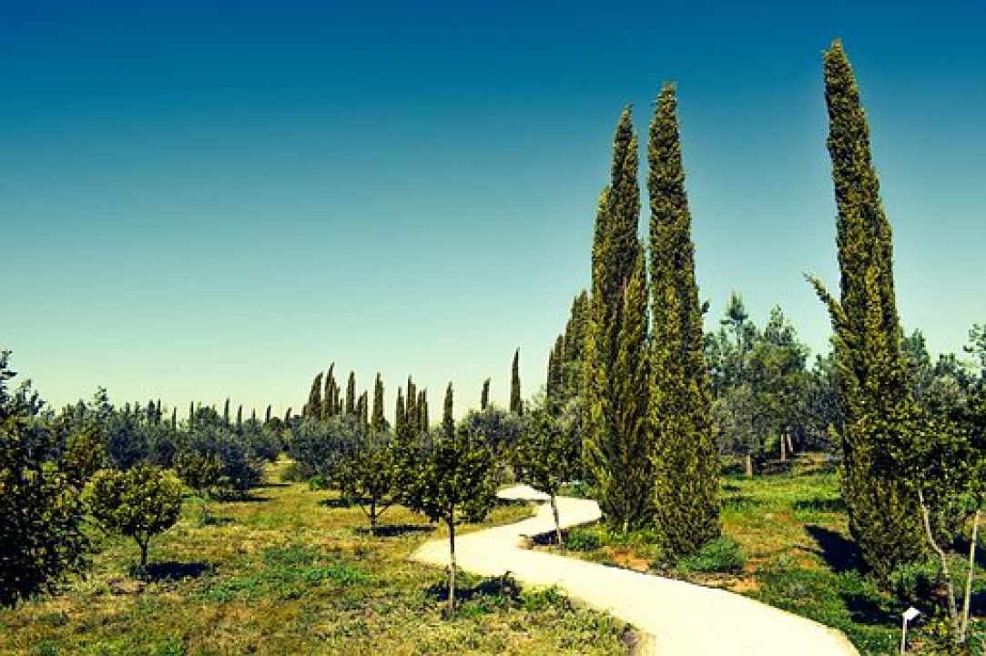 Κύπρος μου χιλιοτραγουδισμένη.....της αγάπης και του ονείρου