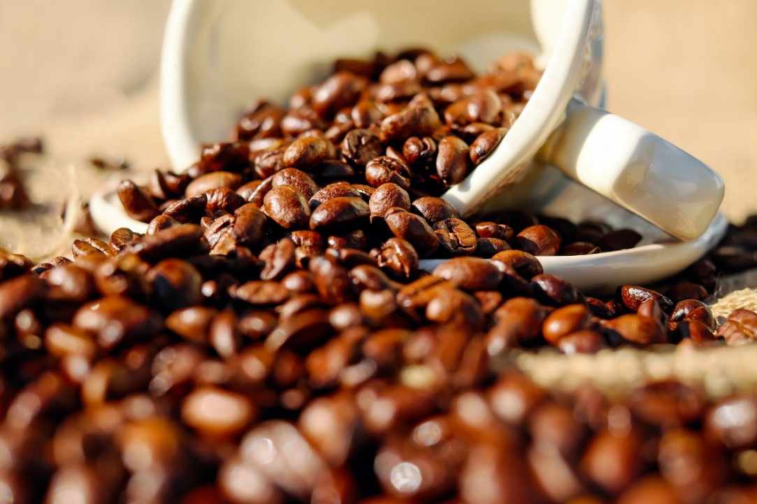 1st Cyprus Coffee Festival