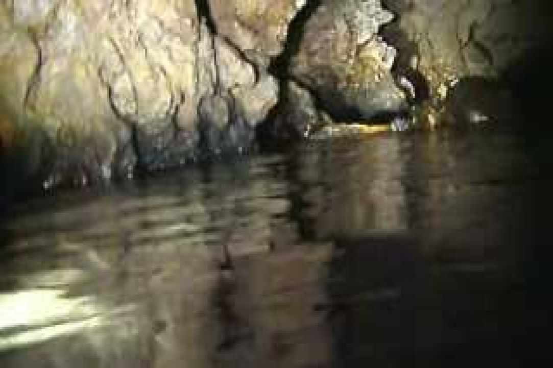 Night Dive