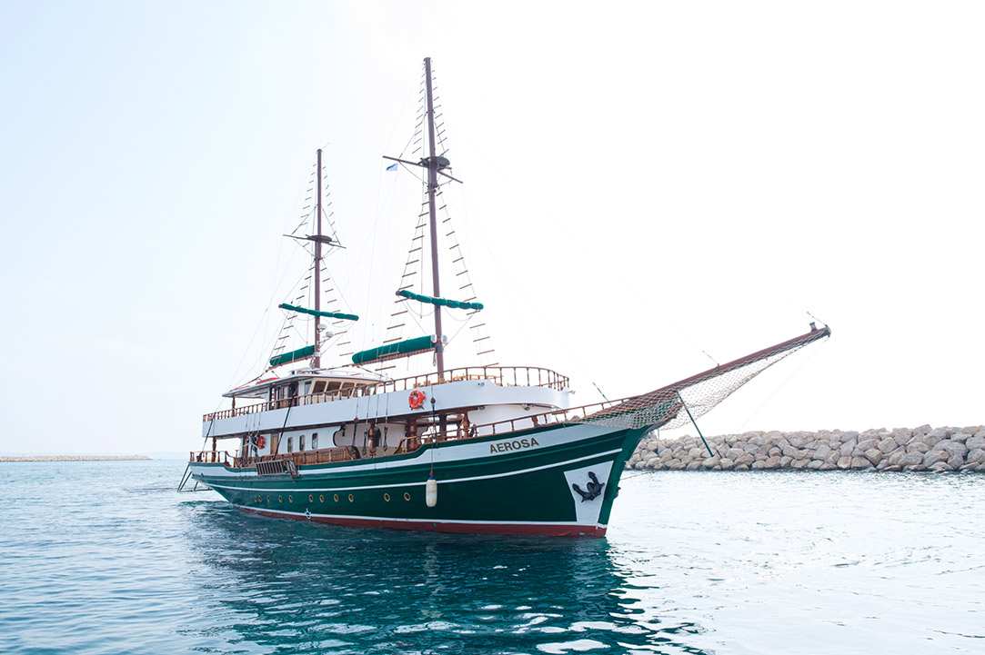 Enjoy the magic and beauty of the sea