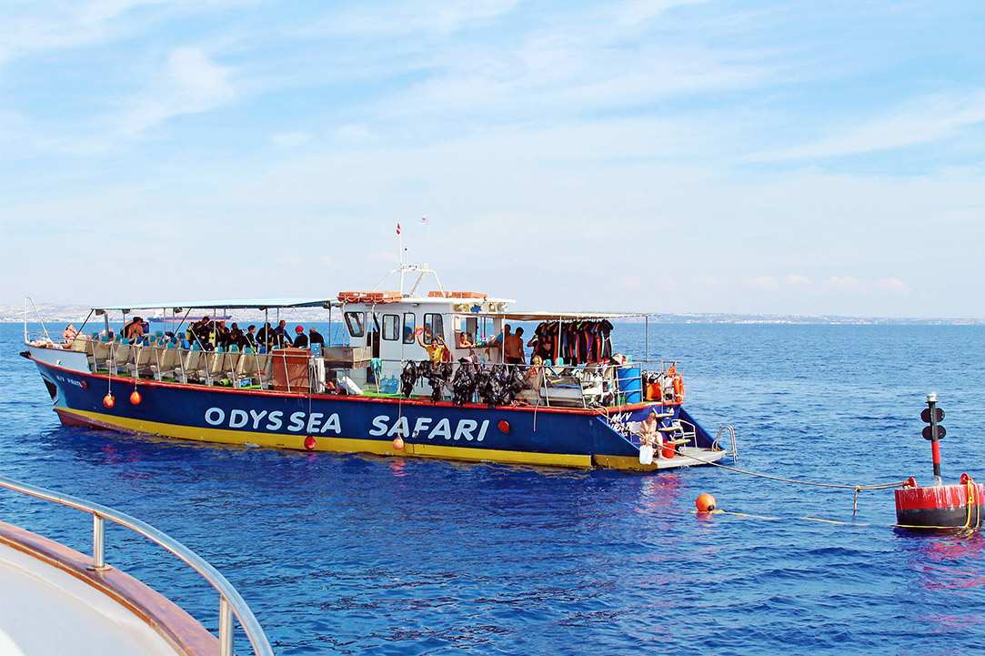 Enjoy the magic and beauty of the sea