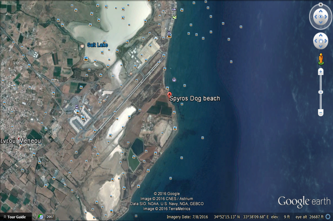 Dog Friendly Beaches in Cyprus