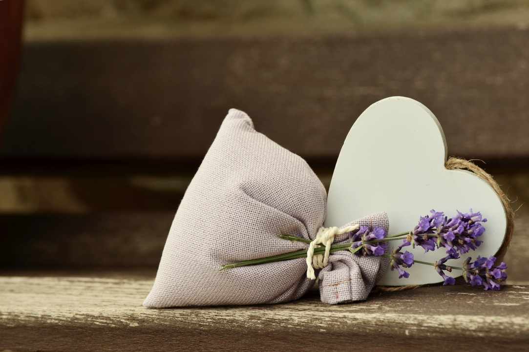 3rd International Lavender Festival in Platres   gallery image 3