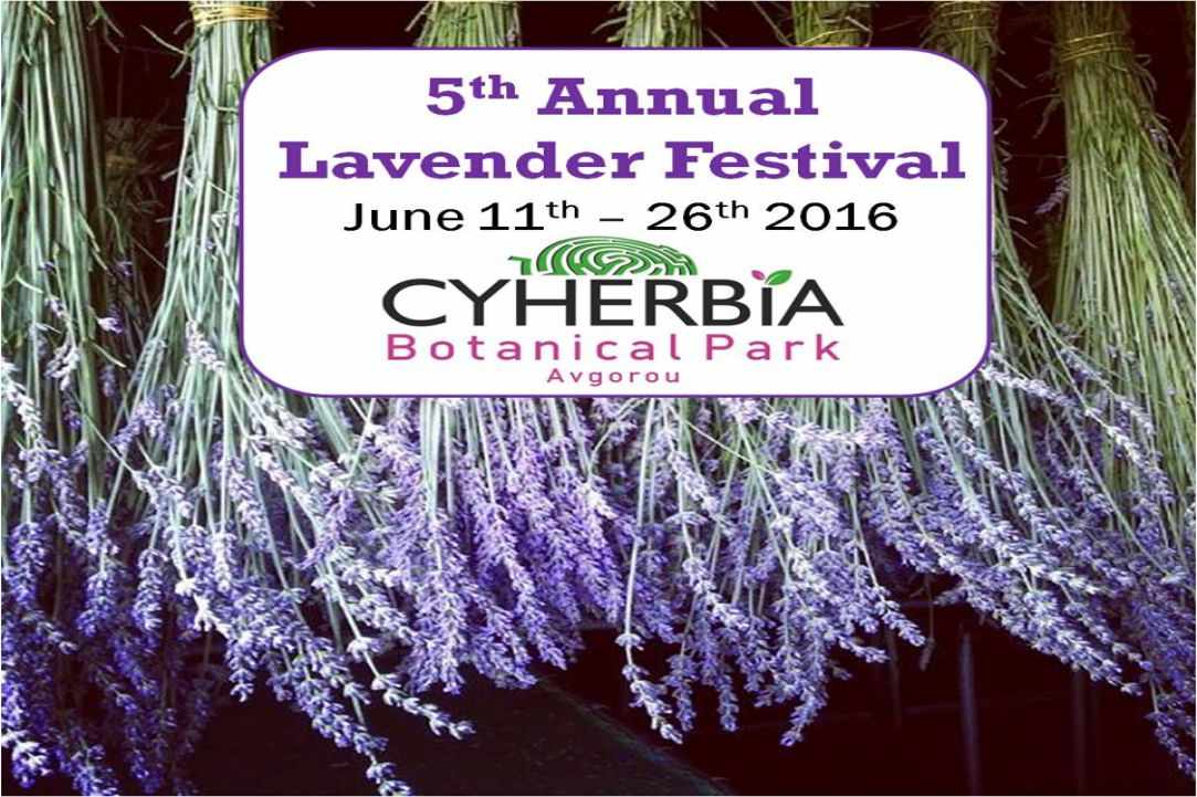 Lavender Festival 2016