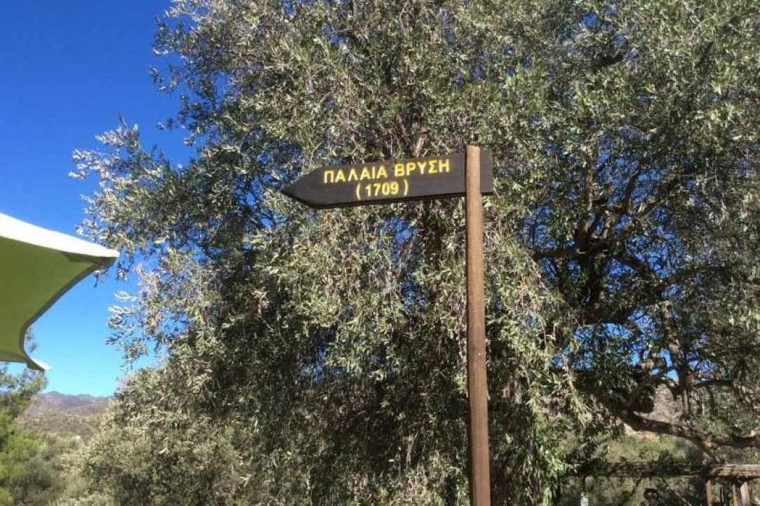 Η «Παλαιά Βρύση» στην Λάγια