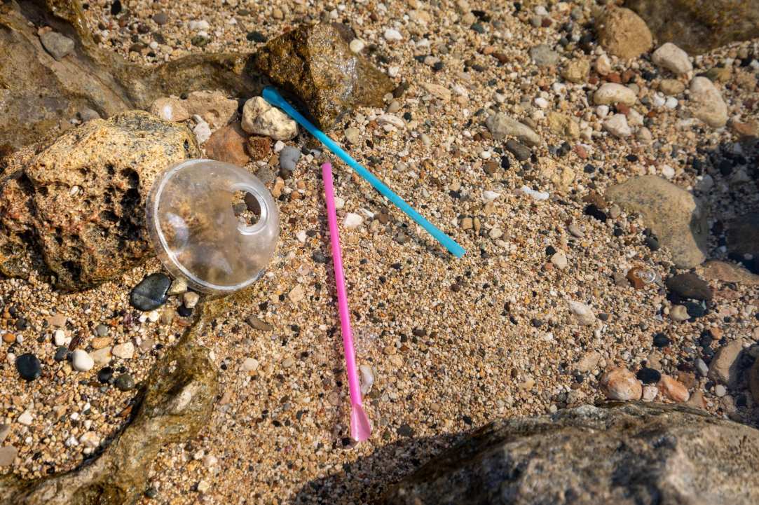 Παγκόσμιο Βραβείο Υπεύθυνου Τουρισμού για το Έργο