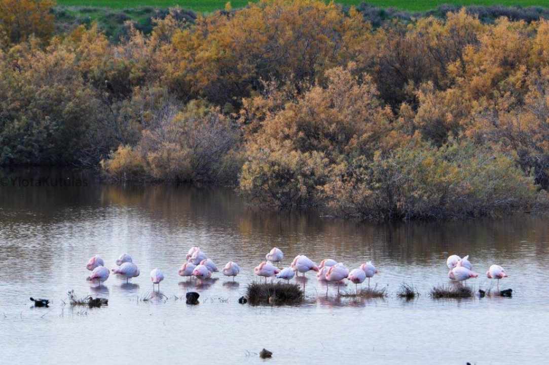 Λίμνη Ορόκλινης