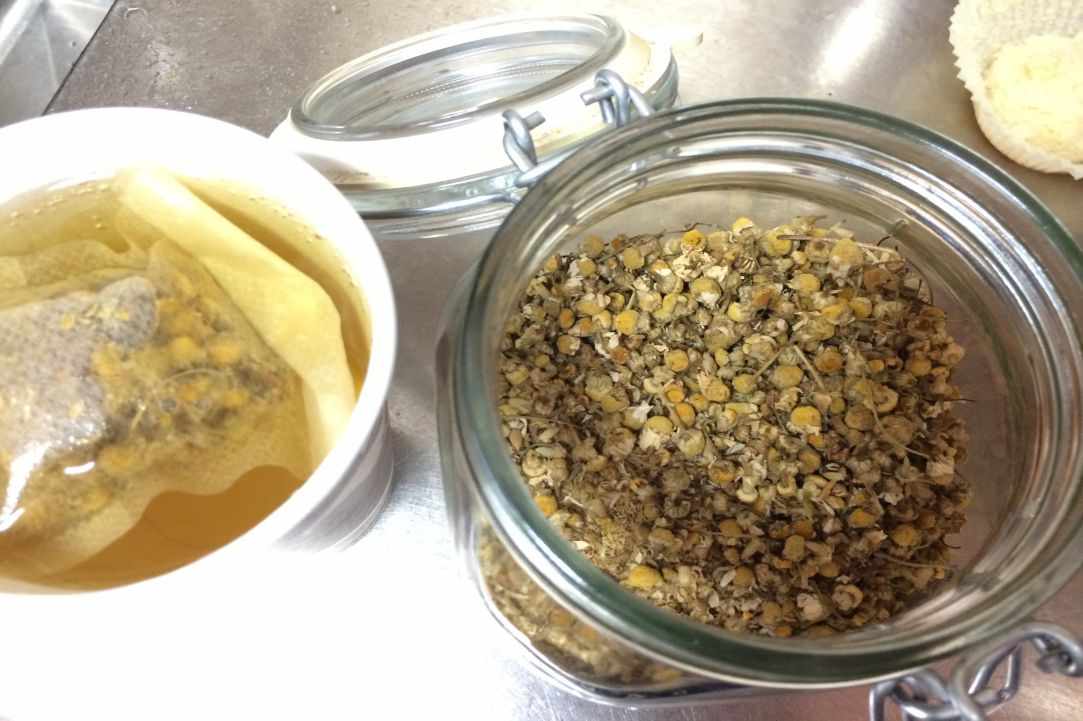 Chamomile. Learning about herbs.