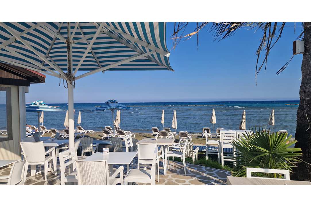 LoveSea Beach Bar Resto: Where Every Visit Feels Like a Greek-Style Holiday...