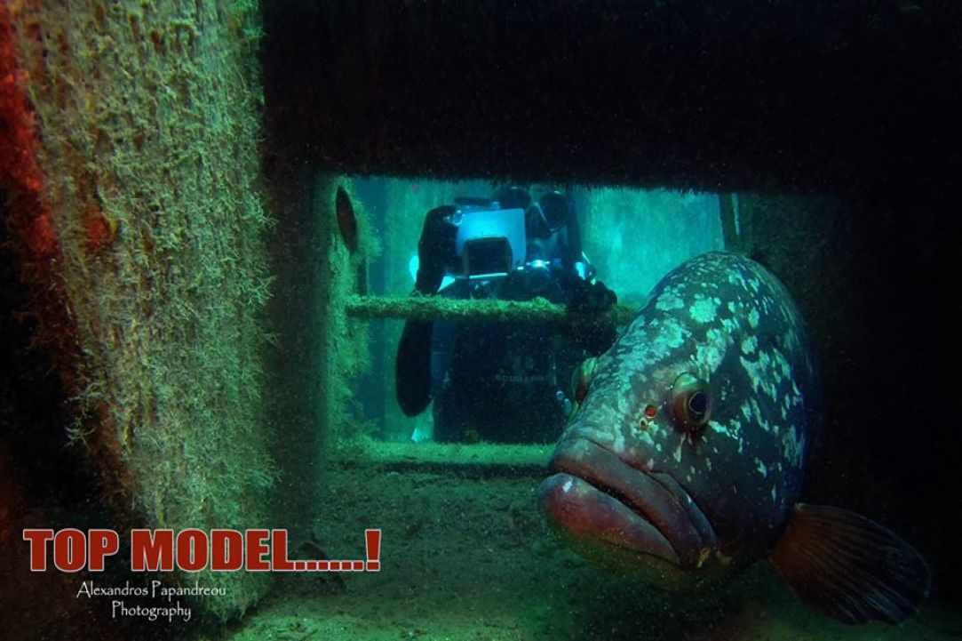 Constandis wreck dive