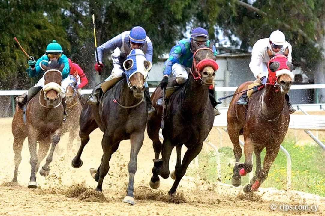 Bet on the wrong horse