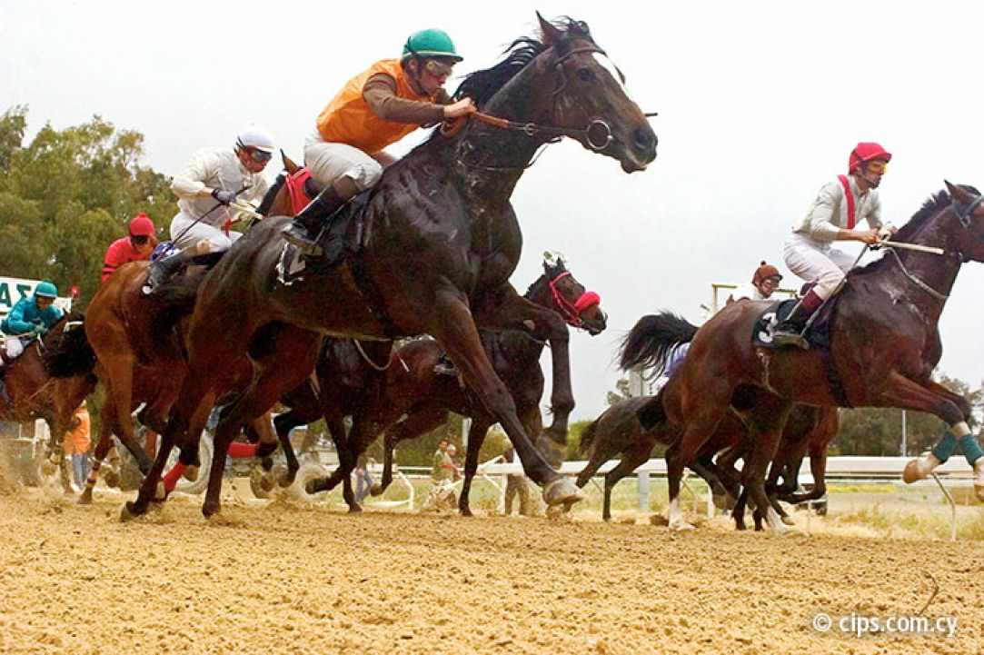 Bet on the wrong horse
